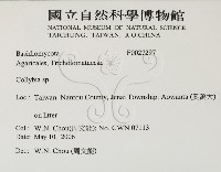 登錄號:F0027297藏品圖，第2張