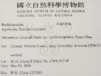 登錄號:F0027298藏品圖，第2張