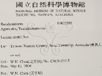 登錄號:F0027299藏品圖，第2張