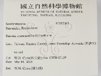 登錄號:F0027303藏品圖，第2張