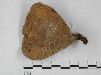登錄號:F0027303藏品圖，第1張