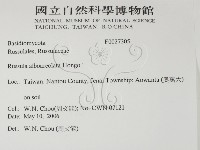 登錄號:F0027305藏品圖，第2張