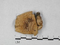 登錄號:F0027305藏品圖，第3張