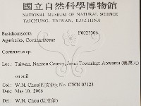 登錄號:F0027306藏品圖，第2張