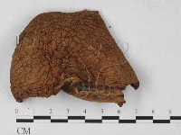 登錄號:F0027306藏品圖，第3張