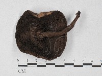 登錄號:F0027307藏品圖，第1張