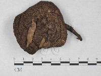 登錄號:F0027307藏品圖，第3張