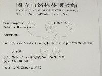 登錄號:F0027308藏品圖，第2張