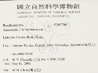 登錄號:F0027309藏品圖，第2張