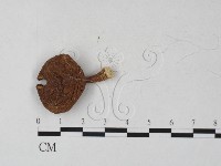 登錄號:F0027309藏品圖，第3張