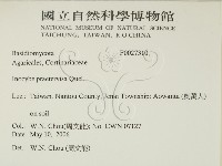 登錄號:F0027310藏品圖，第2張