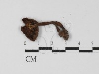 登錄號:F0027310藏品圖，第1張