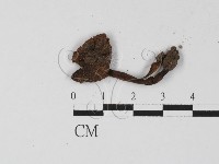 登錄號:F0027310藏品圖，第3張