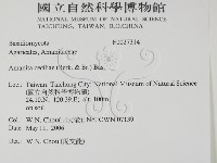 登錄號:F0027314藏品圖，第2張