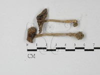 登錄號:F0027314藏品圖，第1張