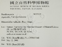 登錄號:F0027315藏品圖，第2張