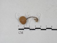 登錄號:F0027315藏品圖，第1張