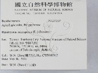 登錄號:F0027319藏品圖，第2張