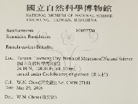 登錄號:F0027320藏品圖，第2張