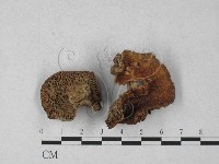 登錄號:F0027320藏品圖，第1張