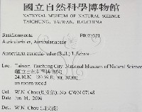 登錄號:F0027321藏品圖，第2張