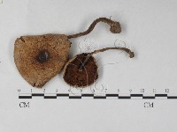 登錄號:F0027322藏品圖，第1張