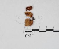 登錄號:F0027323藏品圖，第1張