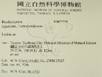 登錄號:F0027324藏品圖，第2張