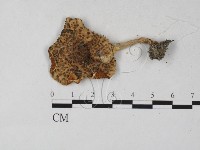 登錄號:F0027325藏品圖，第3張