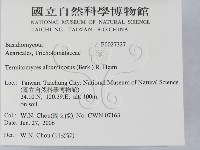 登錄號:F0027327藏品圖，第2張