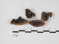 登錄號:F0027328藏品圖，第3張