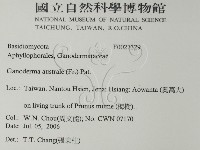 登錄號:F0027329藏品圖，第2張