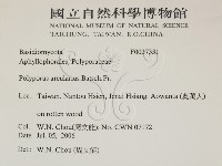 登錄號:F0027331藏品圖，第2張