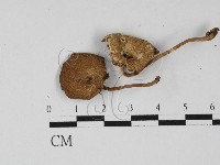 登錄號:F0027331藏品圖，第1張