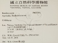 登錄號:F0027334藏品圖，第2張