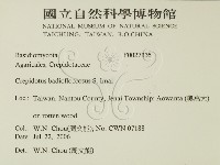 登錄號:F0027335藏品圖，第2張