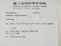 登錄號:F0027336藏品圖，第2張