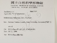 登錄號:F0027337藏品圖，第2張