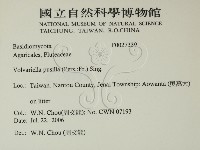 登錄號:F0027339藏品圖，第2張