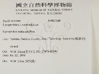 登錄號:F0027340藏品圖，第2張