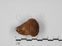 登錄號:F0027340藏品圖，第3張