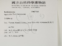 登錄號:F0027341藏品圖，第2張