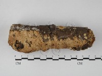 登錄號:F0027345藏品圖，第1張