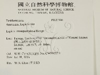 登錄號:F0027346藏品圖，第2張