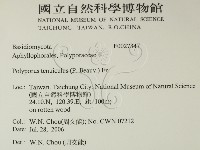 登錄號:F0027347藏品圖，第2張