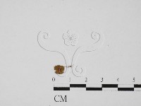 登錄號:F0027354藏品圖，第3張