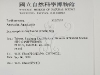 登錄號:F0027355藏品圖，第2張