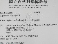 登錄號:F0027356藏品圖，第2張