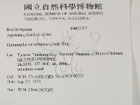登錄號:F0027357藏品圖，第2張