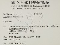 登錄號:F0027359藏品圖，第2張